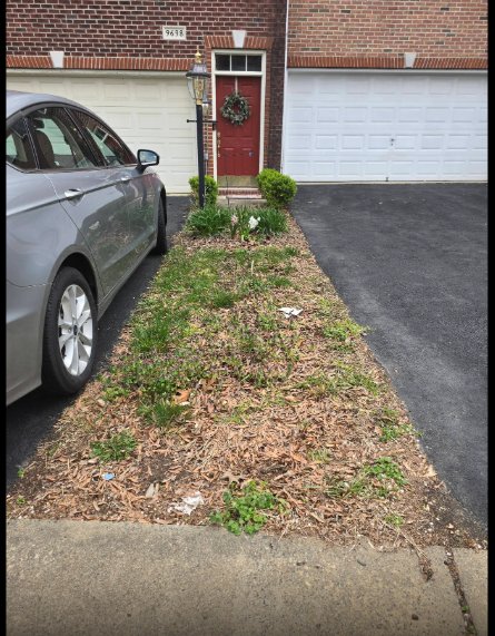 Before Wonder Yard landscaping work, a weedy patchy strip beside a driveway